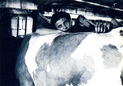 Photo 8 du film No Man’s Land (1985) d'Alain Tanner